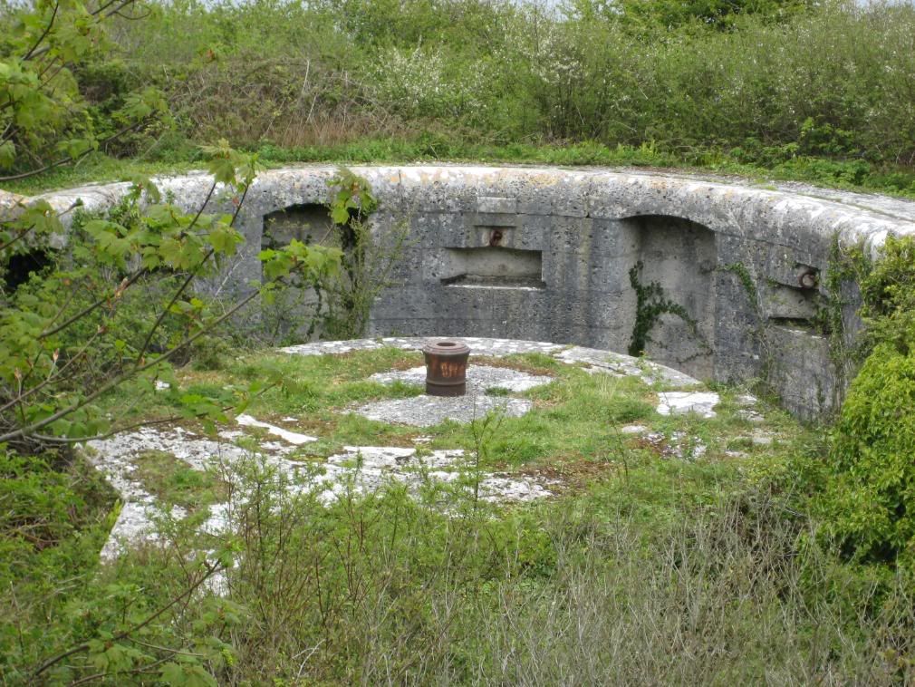 Gun Batteries, Portland May 2008